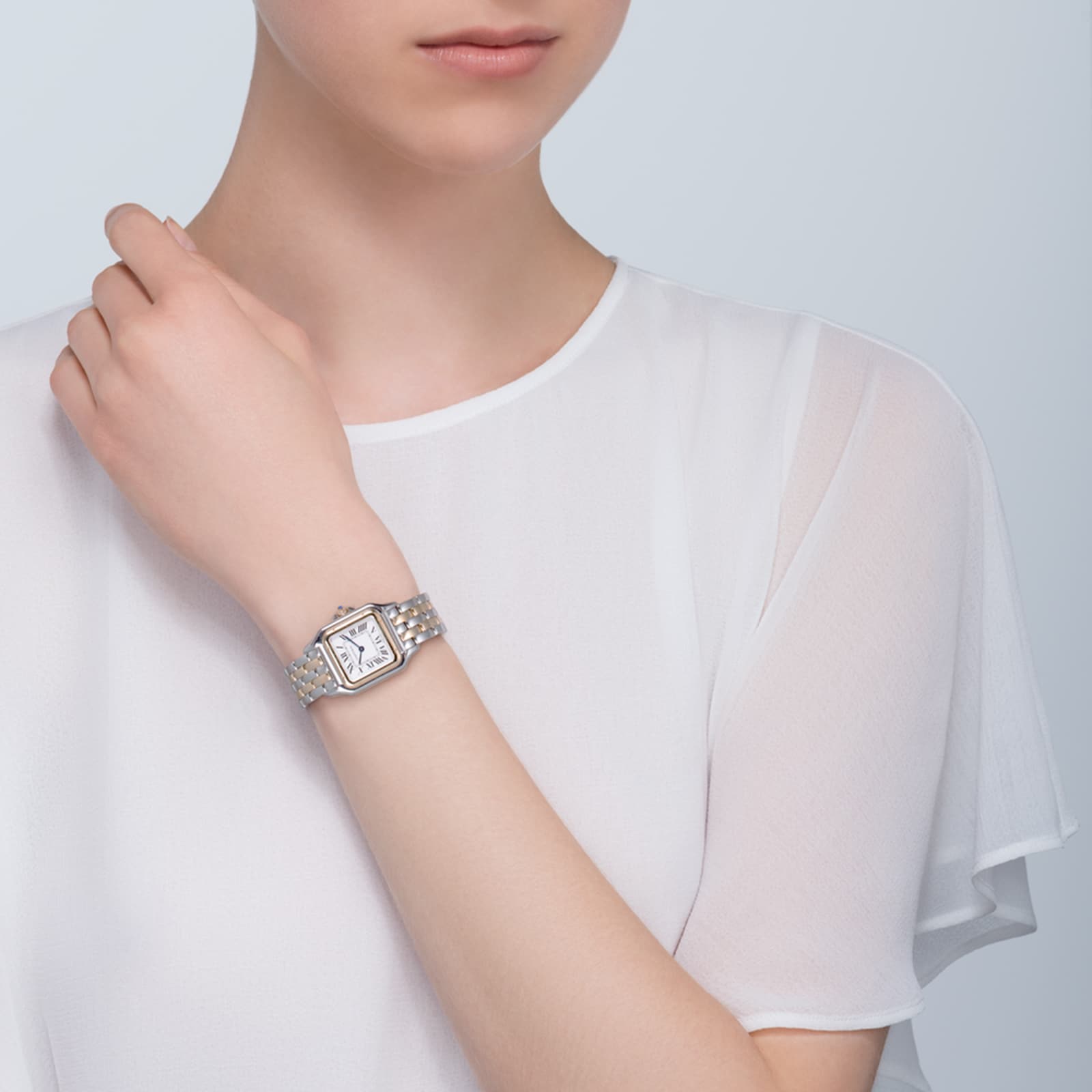 Cartier-Panthere-De-Cartier-Watch-Medium-Model-Quartz-Yellow-Gold-Steel-W2PN0007694-3.jpg